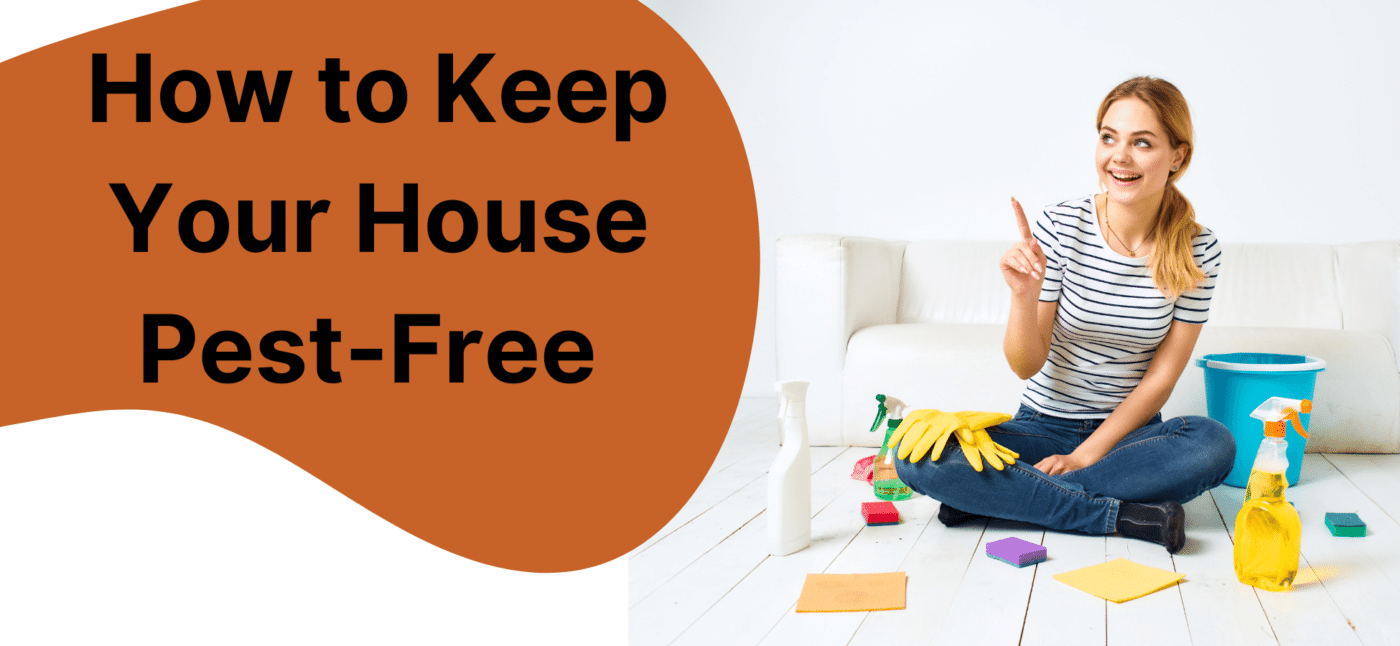 How to Keep Your House Pest-Free